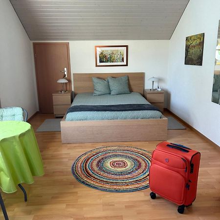 Queen Guest Room Mont-sur-Rolle 外观 照片